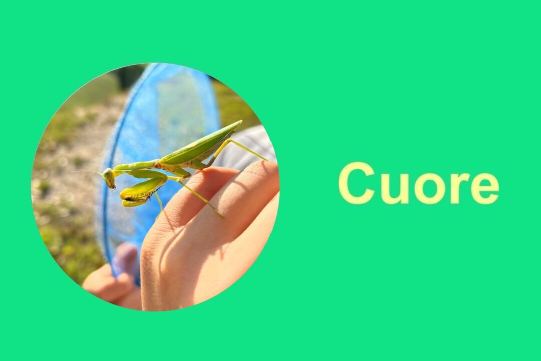 ✨公園外出＆工作✨