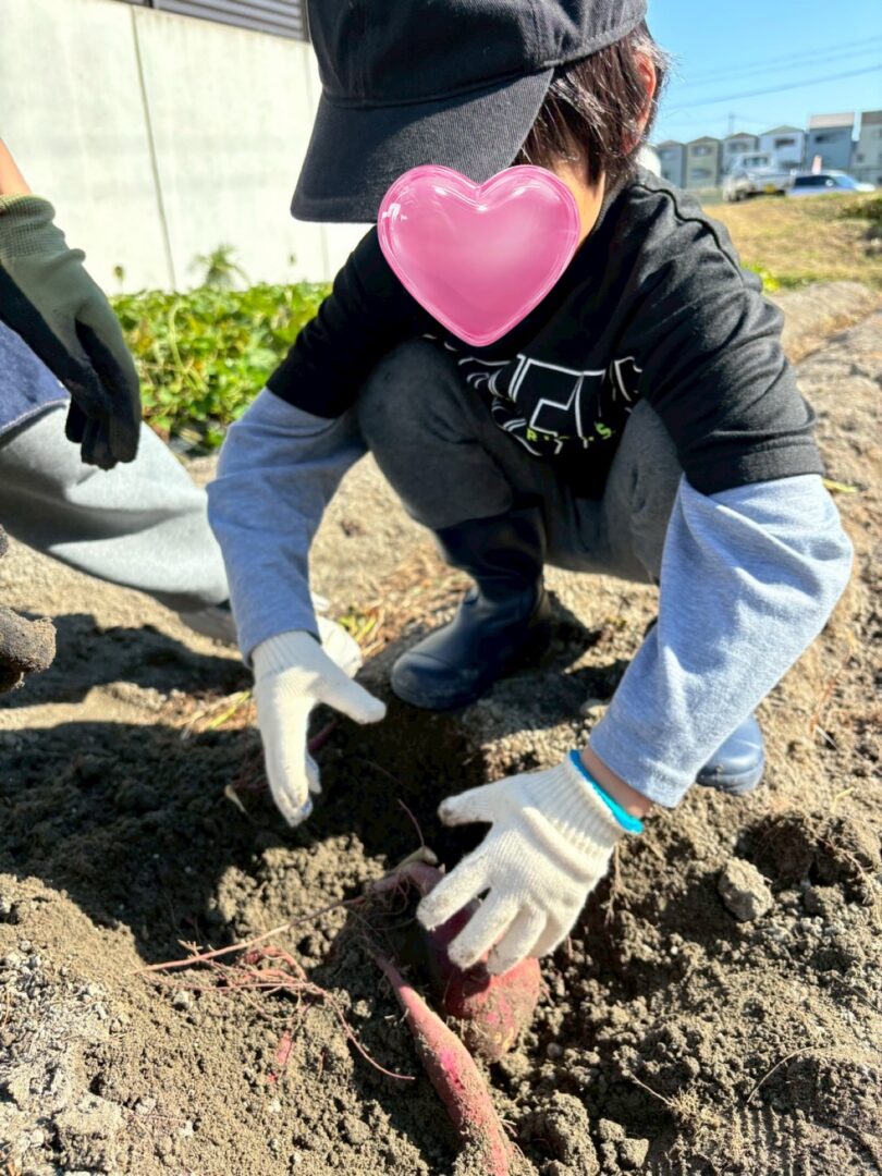 お芋掘り【CHまきの】