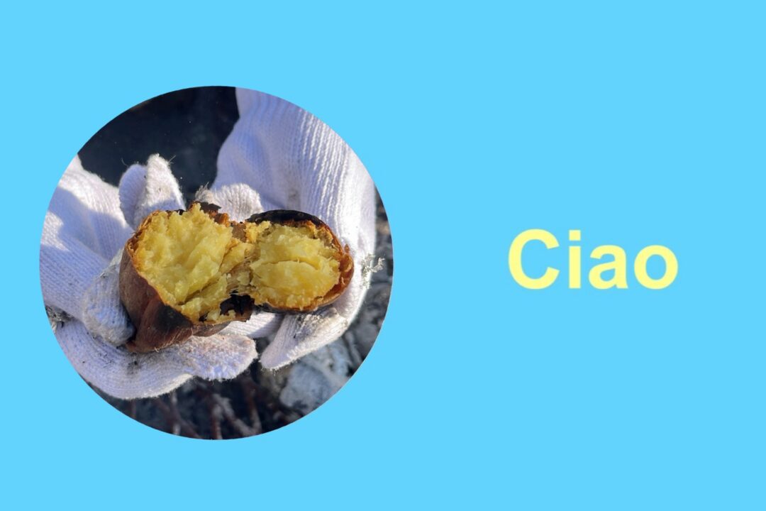 やきいもをしよう🍠