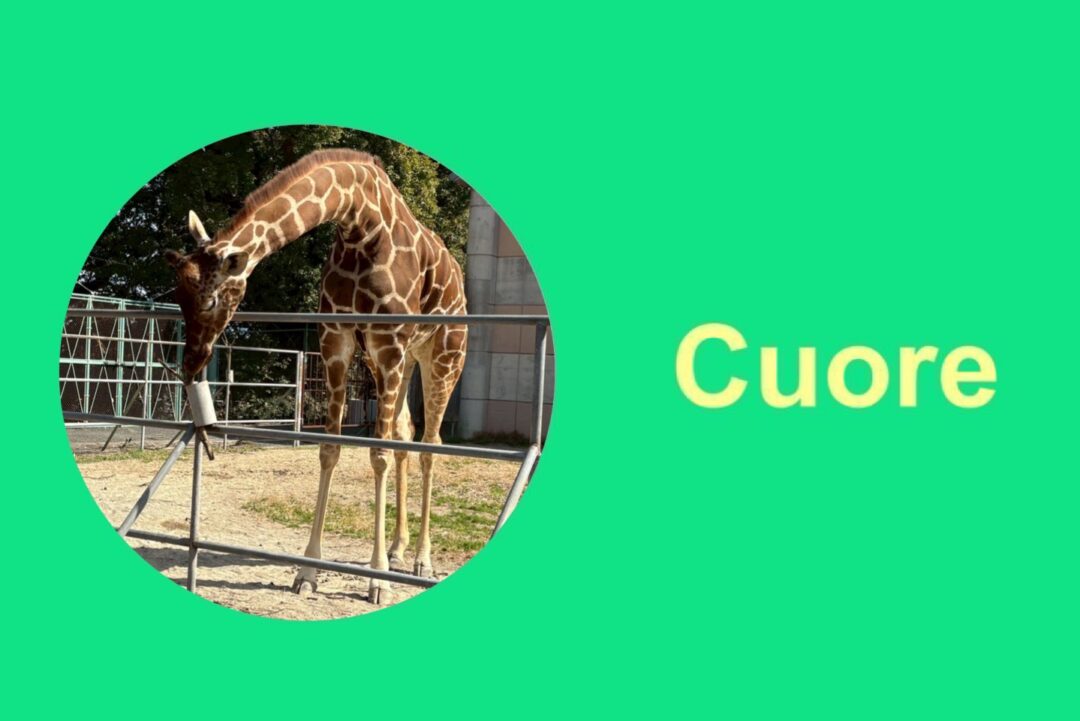 たくさんの動物に出会おう✨