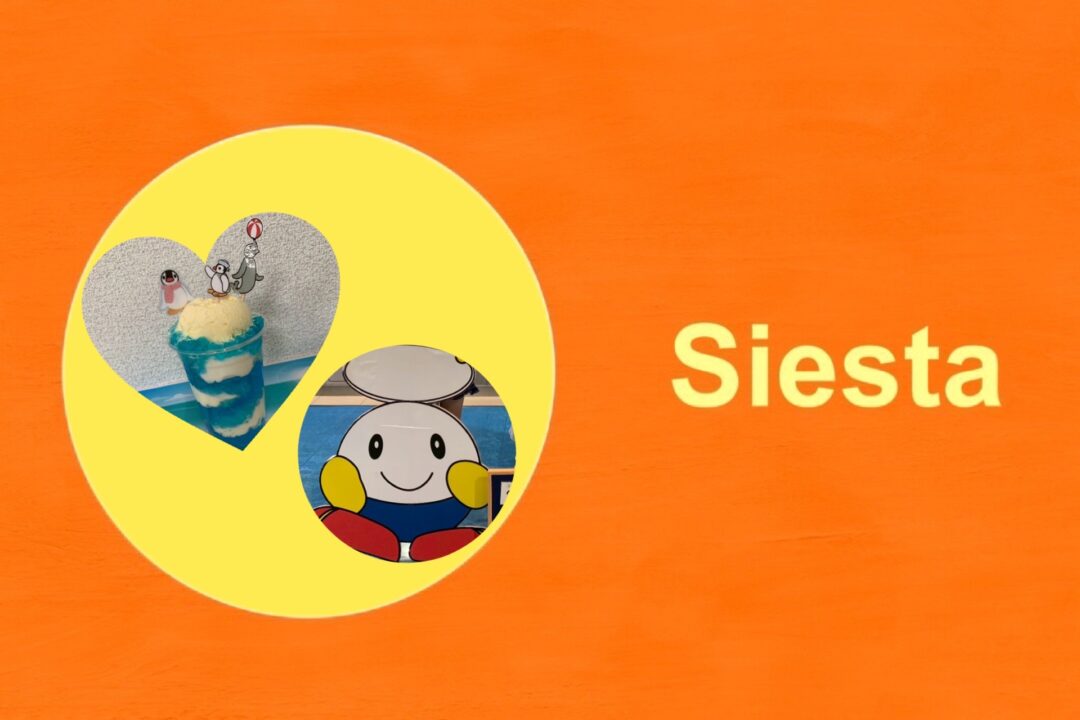 🎈活動紹介🎈